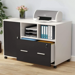 Modern Mobile Cabinet/C-106